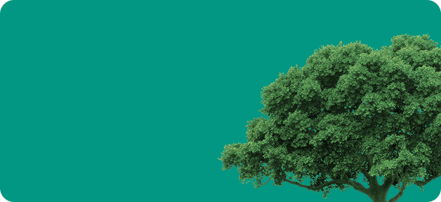 Blooo plant bomen