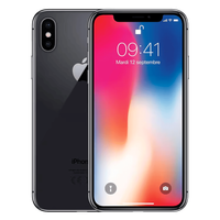 iPhone X