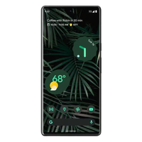 Google Pixel 6 Pro