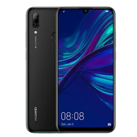 P Smart 2019
